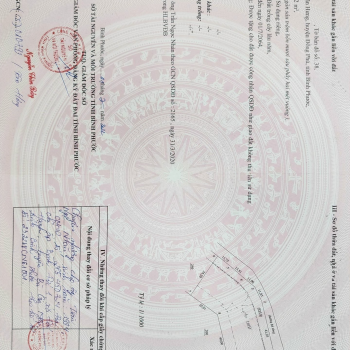 Bất động sản năm 2024: Sự tăng phi mã ở đất nền vùng ven thành phố và dự án tâm linh như Hoa Viên nơi dành cho người quá cố