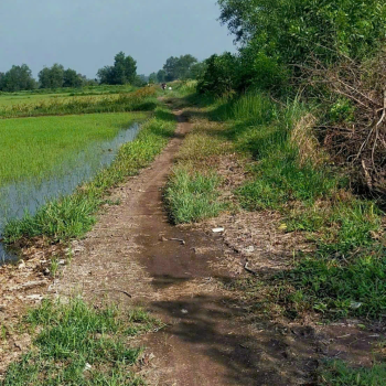 Cập nhật giá đất nền Củ Chi mới nhất 2025 