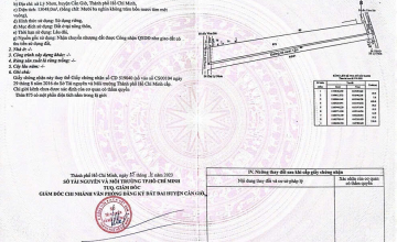 Đất nền Cần Giờ 13.048m² full thổ cư, giá 10 triệu/m²