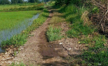 Cơ hội sở hữu tài sản lớn giữa lòng Củ Chi 