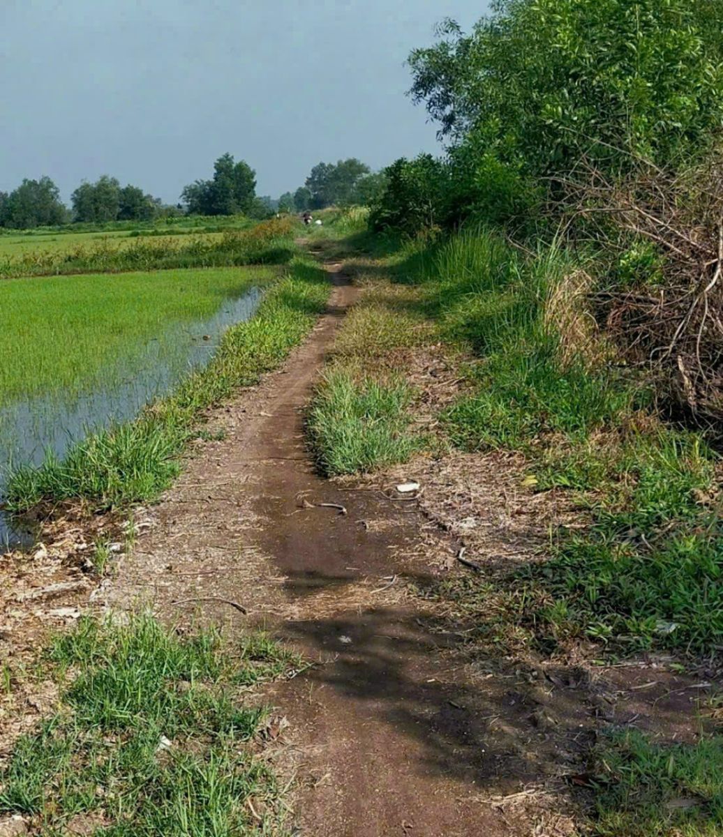 Đất nền chính chủ Củ Chi, đầu tư an toàn, sinh lời nhanh